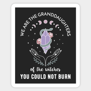 We are the granddaughters of the witches you couldn't burn Sticker